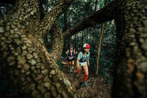 BIB: 
                            <button type="button" onclick="openModal(25670292)" class="btn btn-primary btn-sm float-right btn-popup" data-toggle="modal" data-target=".modal-high-quality">
                        <i class="fas fa-shopping-cart"></i> Add to Cart
                    </button>
                                            <button type="button" onclick="isThisMe(25670292, true)" class="btn btn-success btn-sm float-right btn-popup btn-isme hidden" data-toggle="tooltip" data-placement="bottom" title="นี่คือรูปของคุณใช่ไหม คลิกที่นี่เพื่อเอาเข้าอัลบั้ม">
                        <i class="fas fa-plus"></i> Add to album
                    </button>
                    <button type="button" onclick="isThisMe(25670292, false)" class="btn btn-warning btn-sm float-right btn-popup btn-isnotme hidden">
                        <i class="fas fa-ban"></i> Remove from album
                    </button>